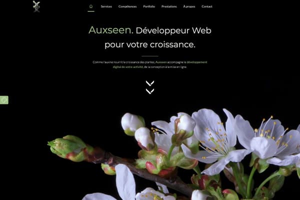 Site web Auxseen