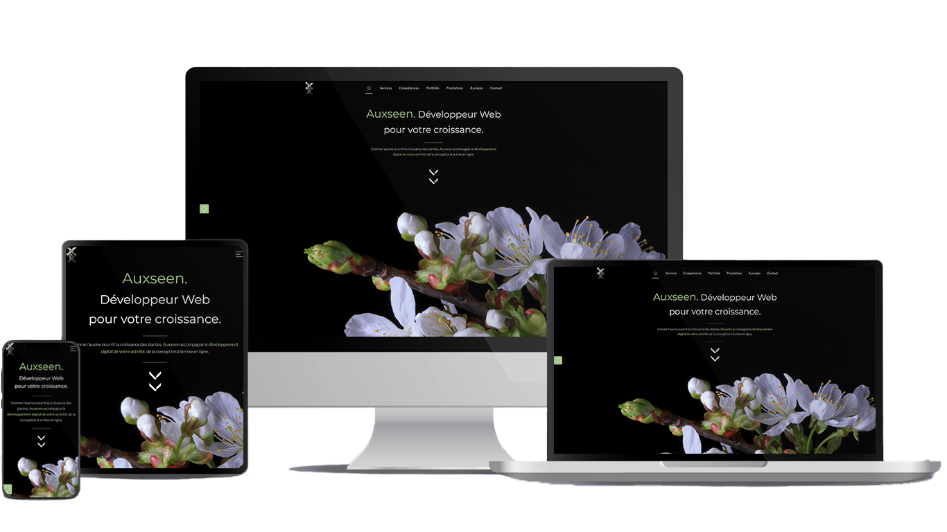 /images/portfolio/auxseen/Tous les supports avec photo du site